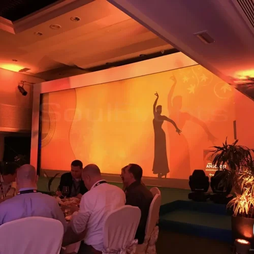 Espectáculos de flamenco